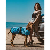 WEATHERBEETA Therapy-Tec Cooling Dog Coat