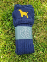 Buckminster Golden Labrador Socks