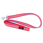 Stripe Dog Lead