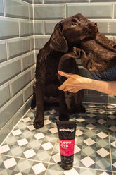 Puppy Love Shampoo 250ml by Animology