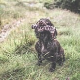 Snipe 100g Training Dummy