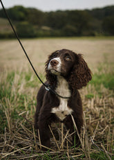 Field Trial PRO Slip Lead