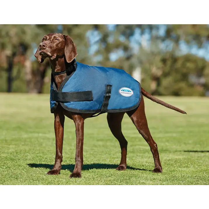 Weatherbeeta Comfitec Classic Dog Coat.