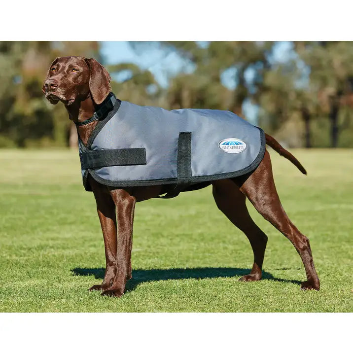 Weatherbeeta Comfitec Classic Dog Coat.