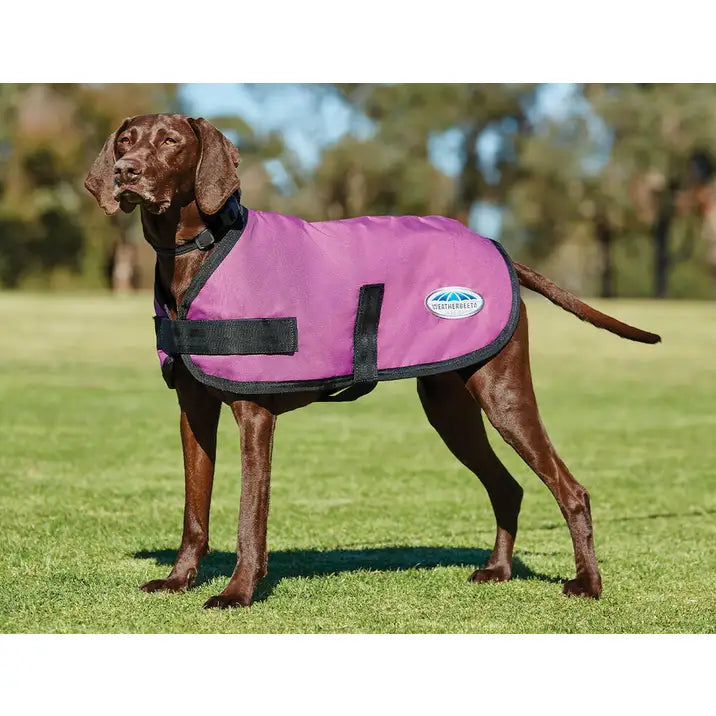 Weatherbeeta Comfitec Classic Dog Coat.