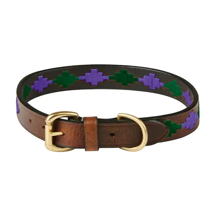 Weatherbeeta Polo Leather Dog Collar.