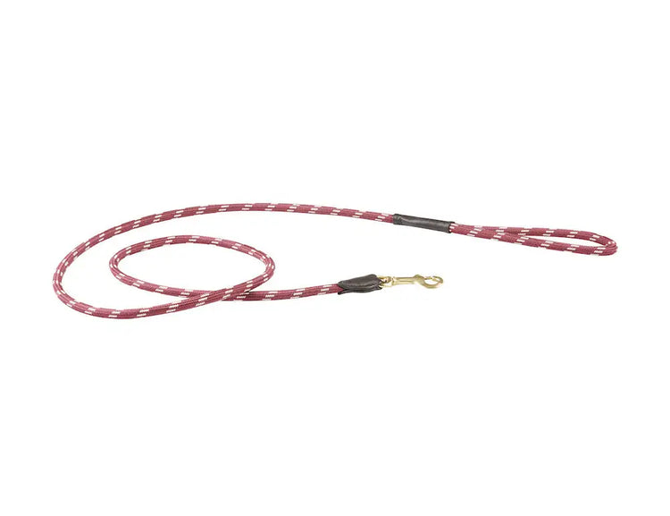 Rope Leather Dog Lead