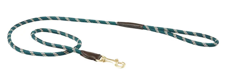 Rope Leather Dog Lead