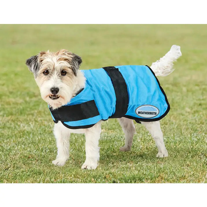 WEATHERBEETA  Therapy-Tec Cooling Dog Coat