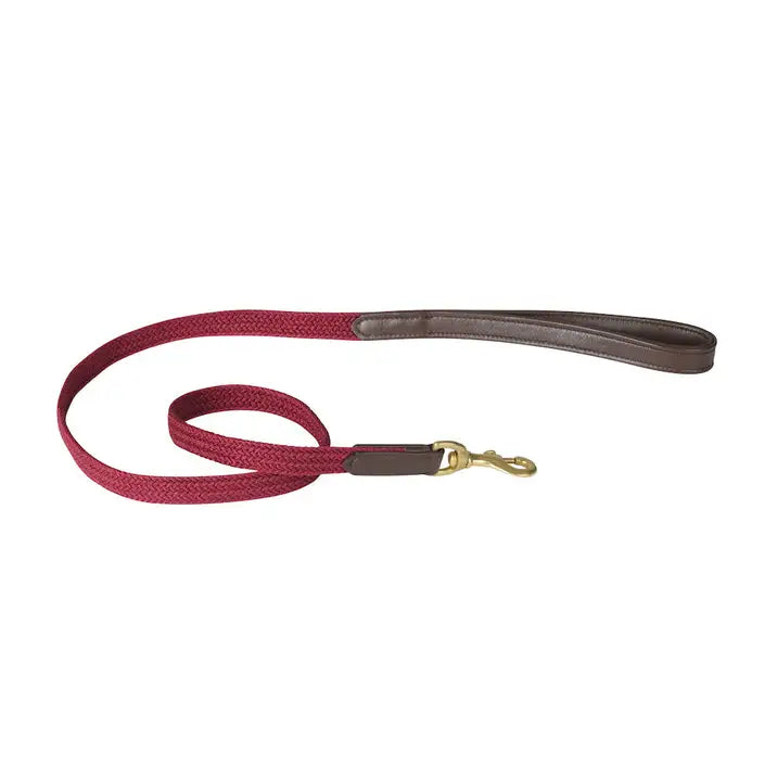 WEATHERBEETA leather plaited dog lead