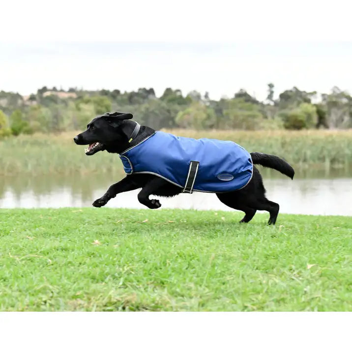 Weatherbeeta Comfitec Windbreaker Free Dog Coat.