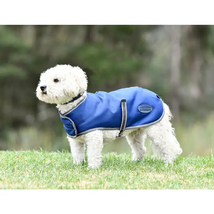 Weatherbeeta Comfitec Windbreaker Free Dog Coat.