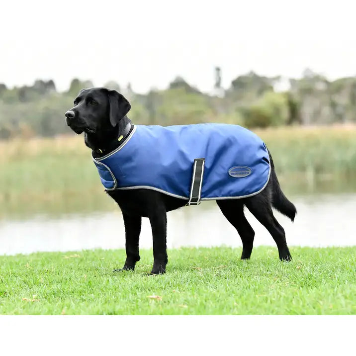 Weatherbeeta Comfitec Windbreaker Free Dog Coat.