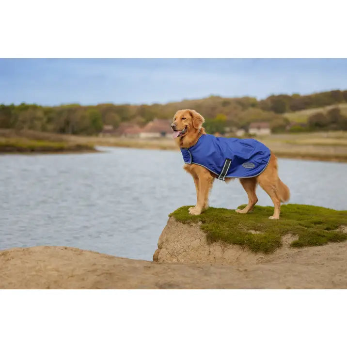 Weatherbeeta Comfitec Windbreaker Free Dog Coat.