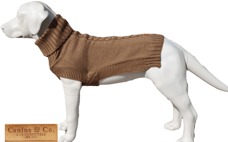 The Jazz Dog Jumper