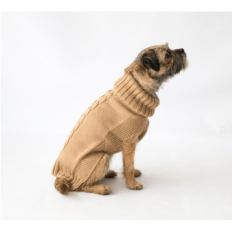 The Jazz Dog Jumper