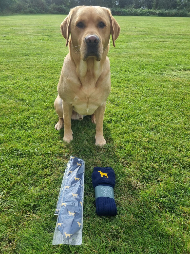 Golden Labrador Tie (Navy)