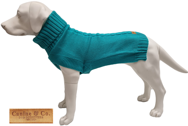 The Jazz Dog Jumper