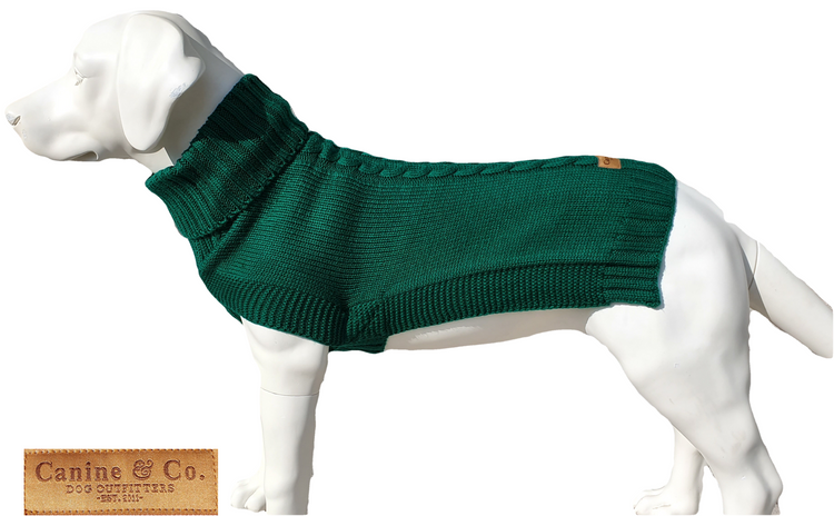 The Jazz Dog Jumper