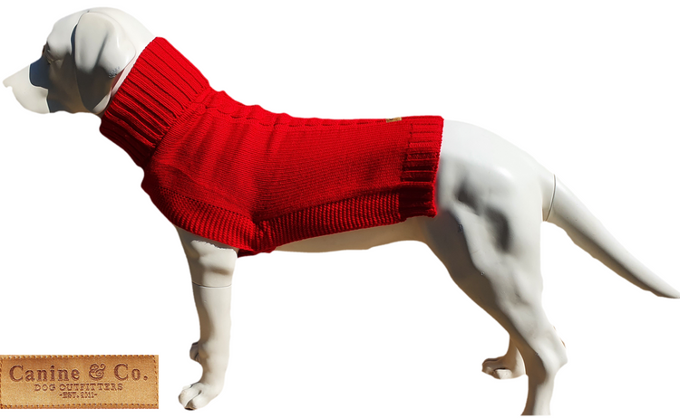 The Jazz Dog Jumper