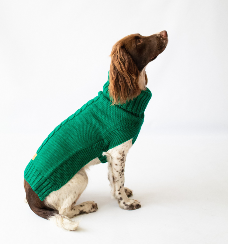 The Jazz Dog Jumper