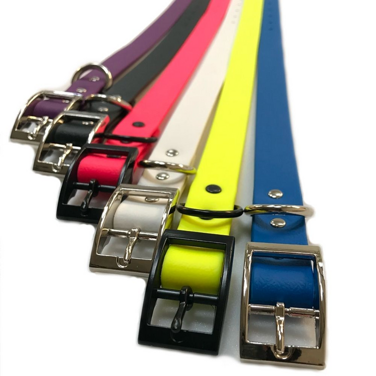 Waterproof Webbing Dog Collar