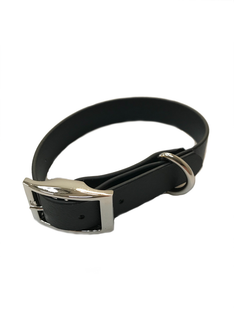 Waterproof Webbing Dog Collar