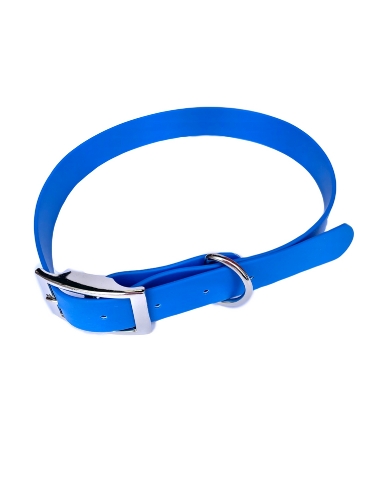 Waterproof Webbing Dog Collar