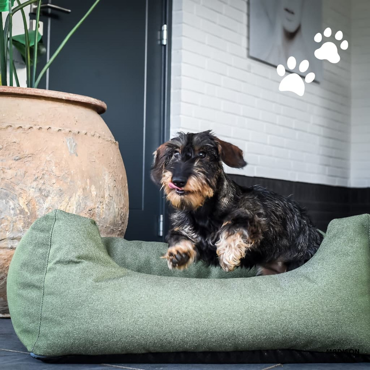 Madison Outdoor Dog Bed Manchester 100x80x25 cm Taupe