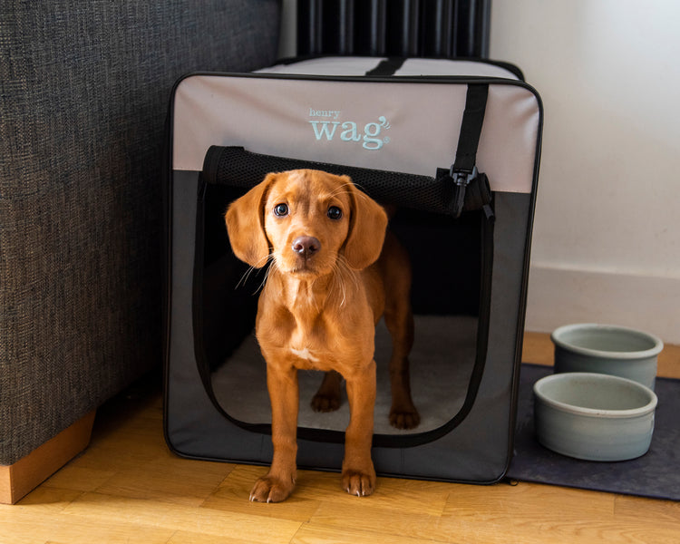 Henry Wag Folding Fabric Travel Crate