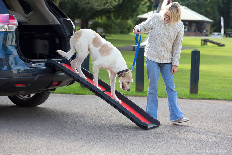 Henry Wag Dog Ramp For Easy Access