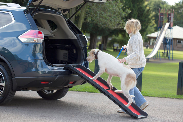 Henry Wag Dog Ramp For Easy Access