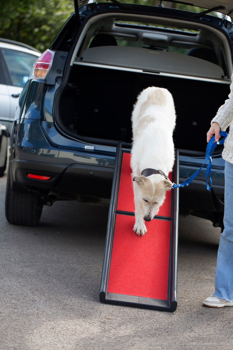 Henry Wag Dog Ramp For Easy Access