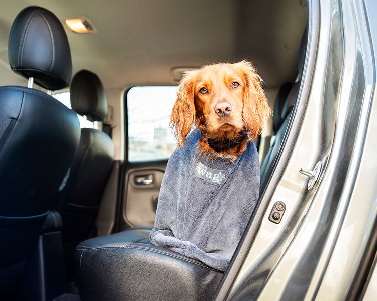 Henry Wag Microfibre Dog Drying Bag