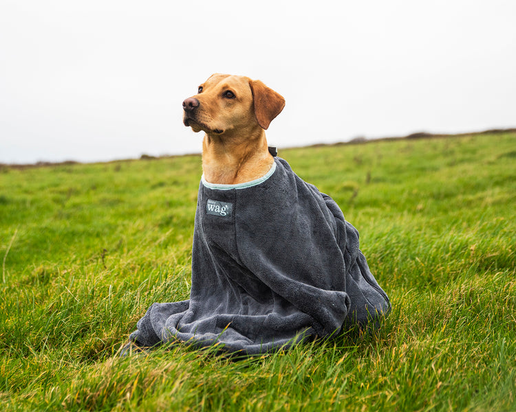 Henry Wag Microfibre Dog Drying Bag