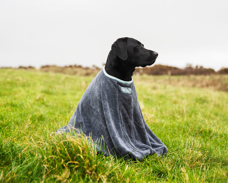 Henry Wag Microfibre Dog Drying Bag