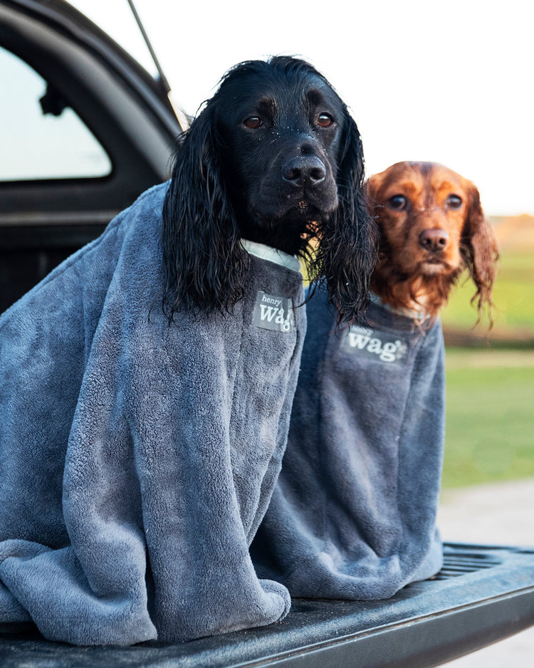 Henry Wag Microfibre Dog Drying Bag