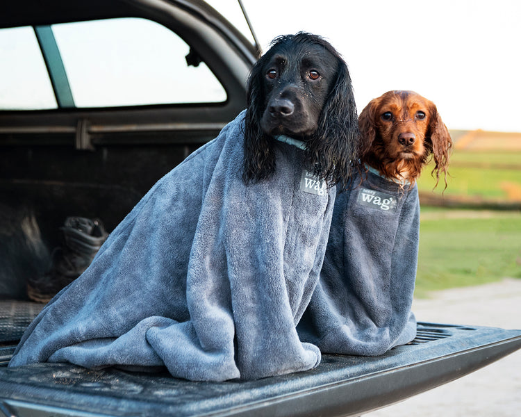 Henry Wag Microfibre Dog Drying Bag