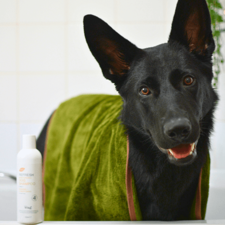 Henry Wag Refresh Dog Towel