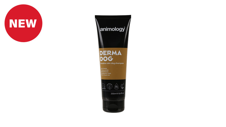 Derma Dog Shampoo 250ml by Animology