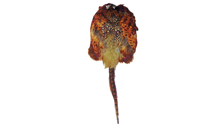 Pheasant Skin Pelt by Bisley