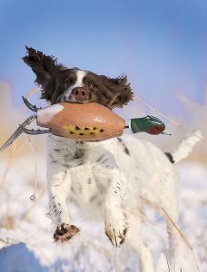 Dead Fowl Pheasant Dummy by Dokken