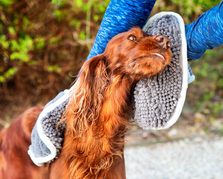 Henry Wag Pet Noodle Glove Towel