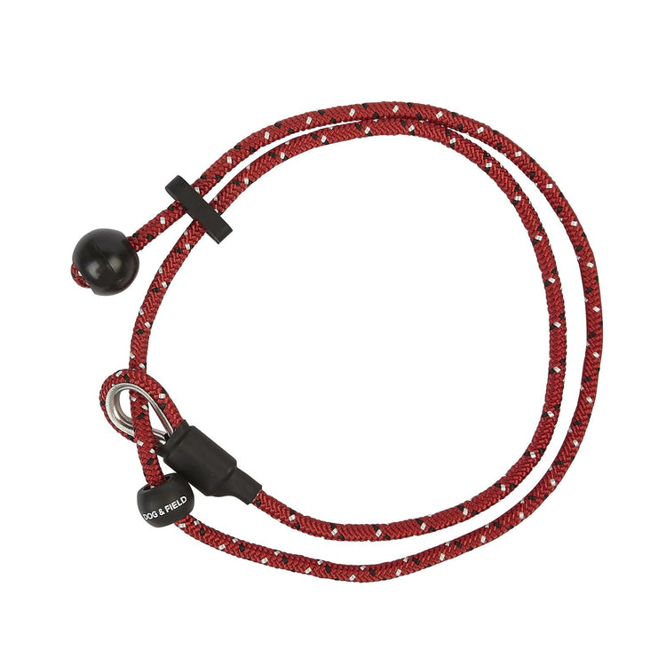 Pro Trainer Heeling Lead