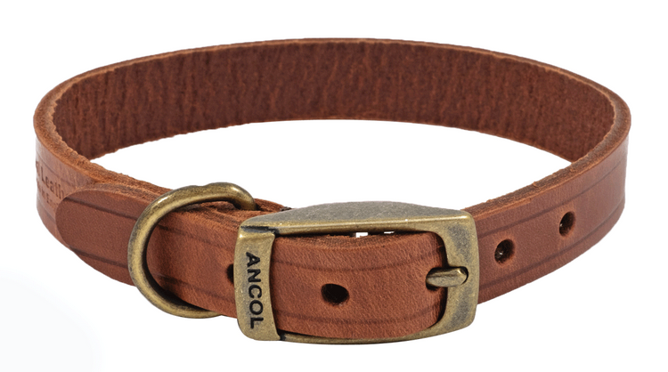 Dog Collar Heritage Leather