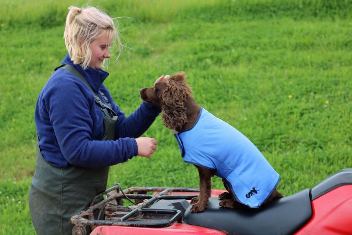 Sporting Saints Dog Cooling Coat